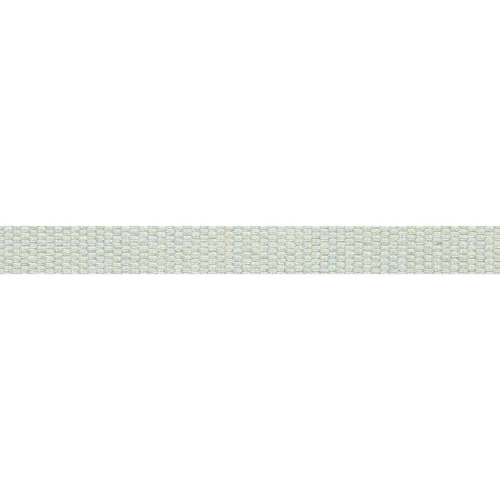 Everly Micro Tape Spa by Magnolia Trim - 63LINEN/37RAYON CHINA Horizontal: and Vertical: 0.56 - Fabric Carolina -