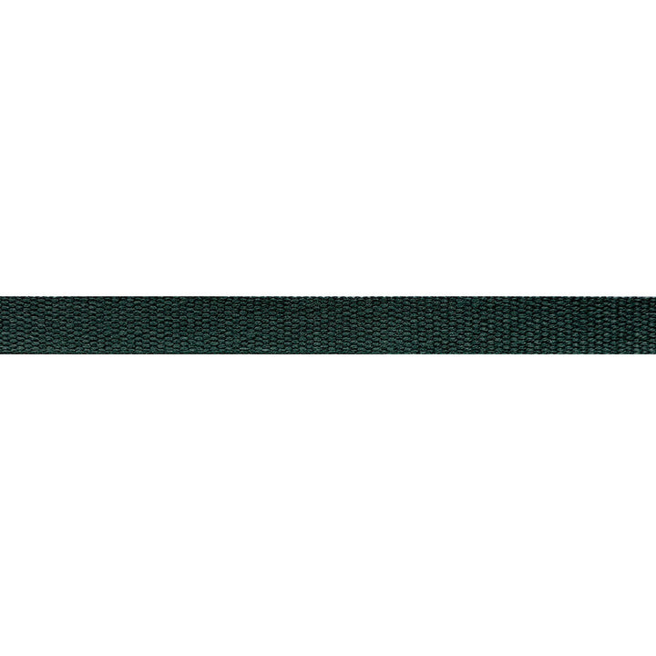 Everly Micro Tape Spruce by Magnolia Trim - 63LINEN/37RAYON CHINA Horizontal: and Vertical: 0.56 - Fabric Carolina -