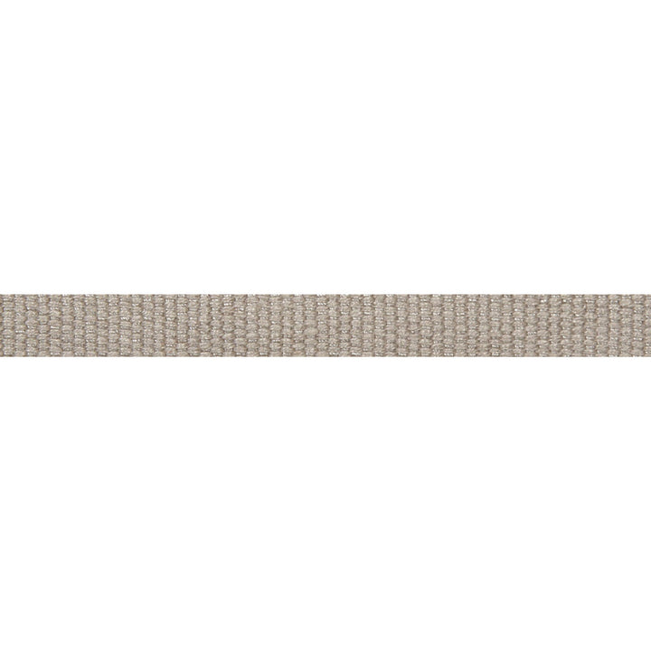Everly Micro Tape Stone by Magnolia Trim - 63LINEN/37RAYON CHINA Horizontal: and Vertical: 0.56 - Fabric Carolina -