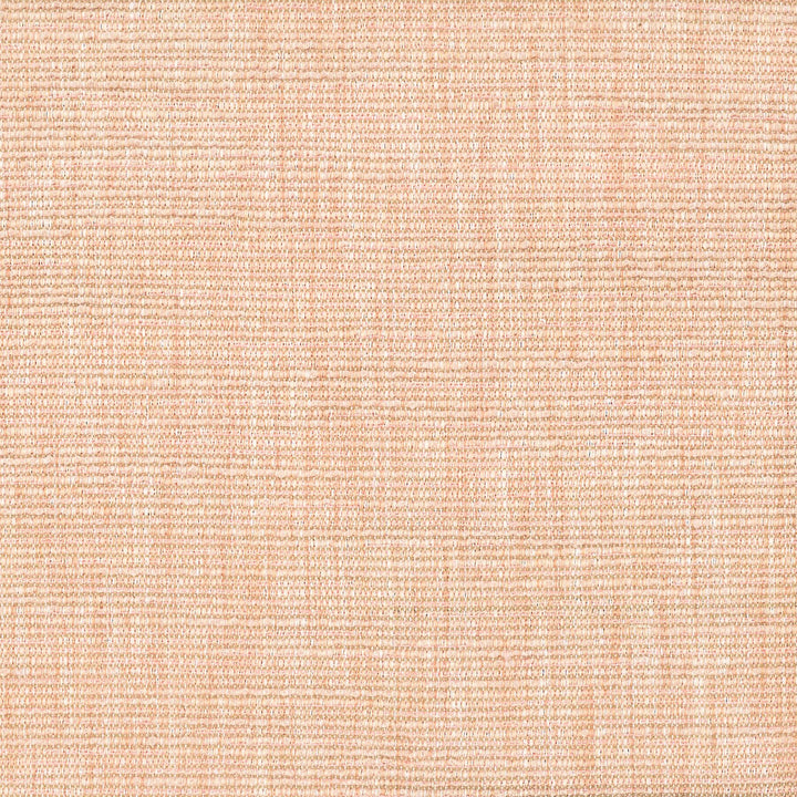 Exacta 2 Tearose by Stout Fabric RAINBOW LIBRARY CORAL/BLOSSOM 100%POL INDIA FLAME RETARDANT-N.F.P.A. 701 SMALL SCALE WYZENBEEK 20 000 DOUBLE RUB WEAR TEST (HEAVY DUTY) Horizontal: 0 and Vertical: 0 54 in - Fabric Carolina -