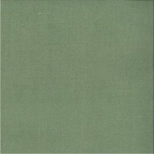 Excel Palm 344 by Norbar Fabric 57% LINEN 43% COTTON 54" - Fabric Carolina -