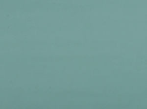 Exit Spa 592 by Norbar Fabric REGENCY 100% POLYESTER INDIA 45,000 WYZENBEEK 56 - Fabric Carolina -