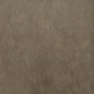 Exotic Driftwood 874 by Norbar Fabric See Sample 100% POLYESTER CHINA 51,000 WYZENBEEK 54 - Fabric Carolina -