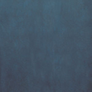 Exotic Lagoon 464 by Norbar Fabric See Sample 100% POLYESTER CHINA 51,000 WYZENBEEK 54 - Fabric Carolina -