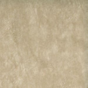 Exotic Oyster 003 by Norbar Fabric See Sample 100% POLYESTER CHINA 51,000 WYZENBEEK 54 - Fabric Carolina -