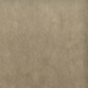 Exotic Sand 213 by Norbar Fabric