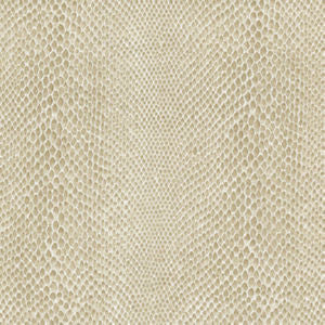Expo Vanilla by Norbar Fabric EUPHORIA 100% POLYURETHANE S. KOREA 3 1/2"H 54 - Fabric Carolina -