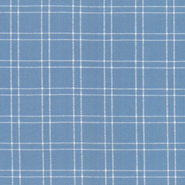 Extract 1 Powder by Stout Fabric RAINBOW LIBRARY HAZE/SKY 100%COT INDIA Horizontal: 2.000 and Vertical: 1.750 54 in - Fabric Carolina -