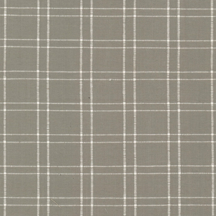 Extract 2 Mushroom by Stout Fabric RAINBOW LIBRARY ALMOND/GRANITE 100%COT INDIA Horizontal: 2.000 and Vertical: 1.750 54 in - Fabric Carolina -
