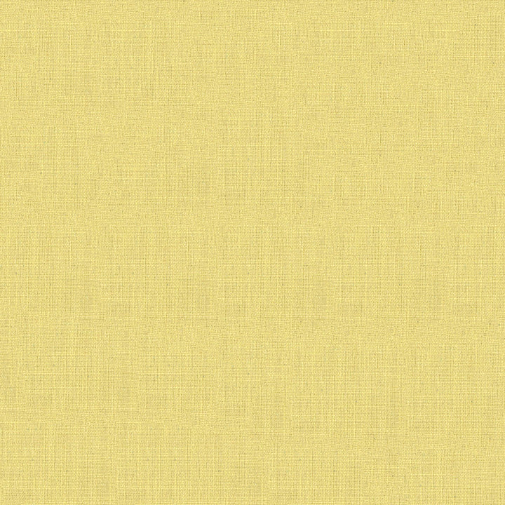 Augusta 502 Butter by ABBEYSHEA Fabric N/A 66% Rayon, 34% Polyester China 70,000 Double Rubs </p><p>Repeat: Horizontal: 7.5" (19.1 cm) Across the Roll and Vertical: 9.3" (23.6 cm) Up the Roll 55" (140 cm) - Fabric Carolina -