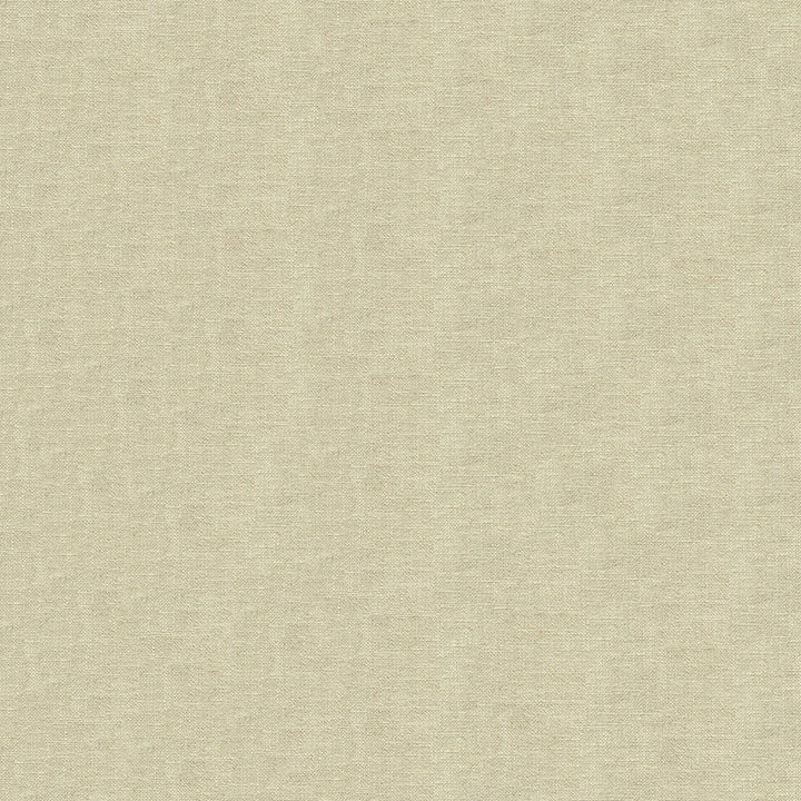 Augusta 6003 Cream by ABBEYSHEA Fabric N/A 74% Polyester, 16% Cotton, 10% Rayon China 45,000 Double Rubs </p><p>Repeat: Horizontal: 9.6" (24.3 cm) Across the Roll and Vertical: 9.1" (23.0 cm) Up the Roll 55" (140 cm) - Fabric Carolina -