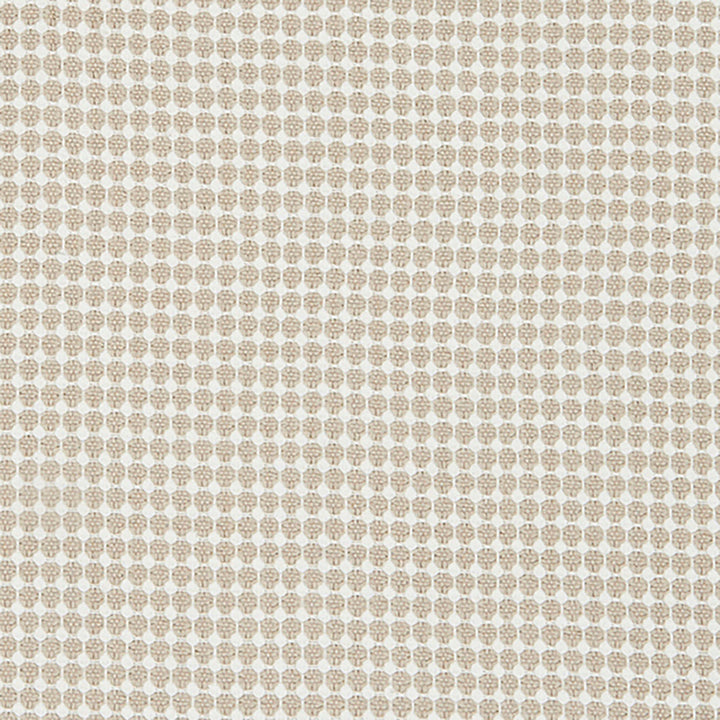 Eyelet 31J8201 by JF Fabric Ambrosia 100% Cotton India Horizontal: 0.5 and Vertical: 0.5 54 - Fabric Carolina -