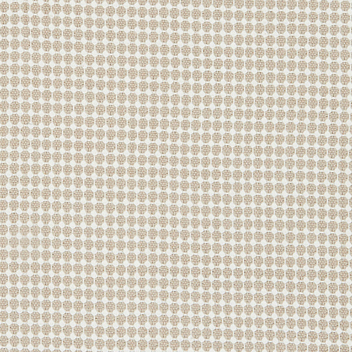 Eyelet 31J8201 by JF Designer Fabric Ambrosia 100% Cotton India Horizontal: 0.5 and Vertical: 0.5 54 - Swanky Fabrics -