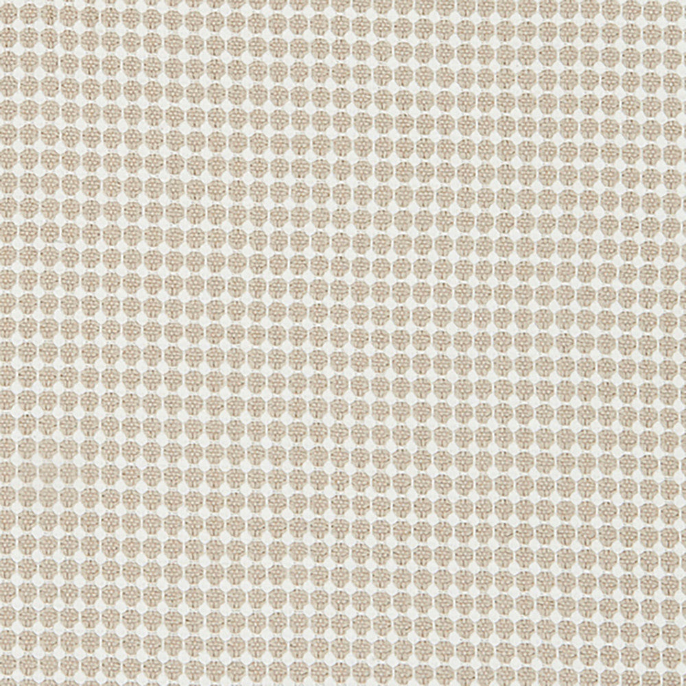 Eyelet 31J8201 by JF Designer Fabric Ambrosia 100% Cotton India Horizontal: 0.5 and Vertical: 0.5 54 - Swanky Fabrics -