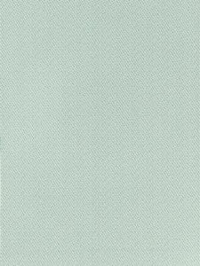Scalamandre Fabric North Downs Celadon