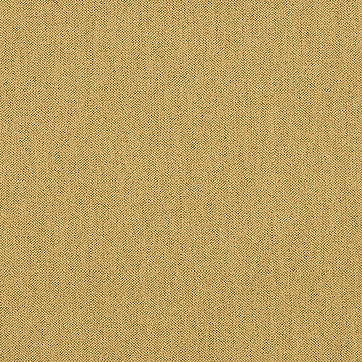 Ezra 13J7031 by JF Crypton Fabric Crypton Binder 100% Polyester Taiwan 50000 Horizontal: and Vertical: 54 - Fabric Carolina -