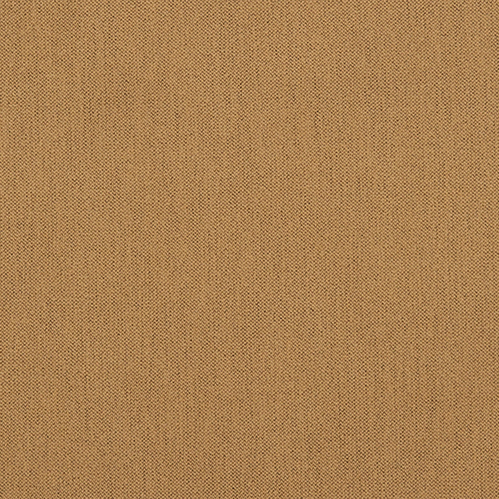 Ezra 34J7031 by JF Crypton Fabric Crypton Binder 100% Polyester Taiwan 50000 Horizontal: and Vertical: 54 - Fabric Carolina -