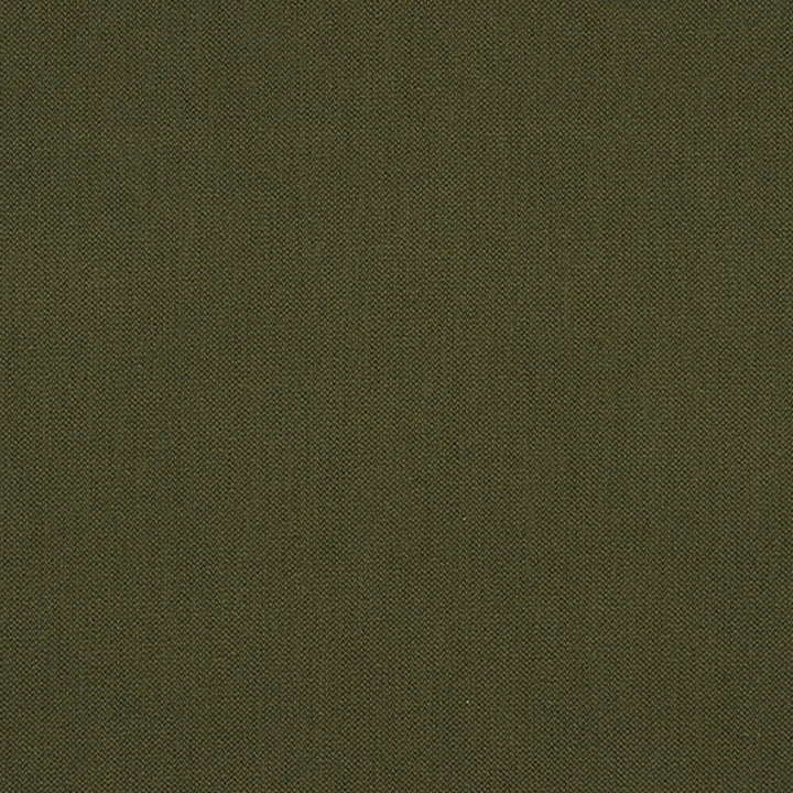 Ezra 78J7031 by JF Crypton Fabric Crypton Binder 100% Polyester Taiwan 50000 Horizontal: and Vertical: 54 - Fabric Carolina -
