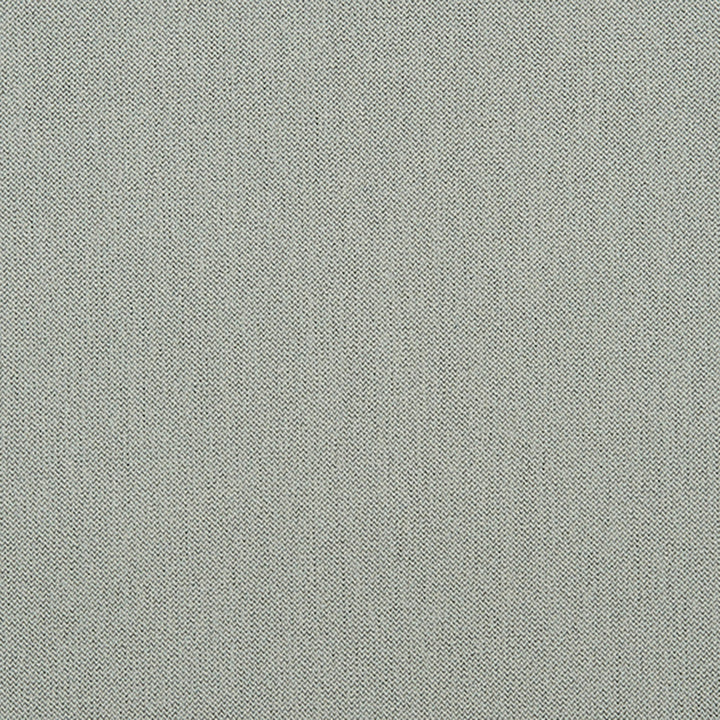 Ezra 95J7031 by JF Crypton Fabric Crypton Binder 100% Polyester Taiwan 50000 Horizontal: and Vertical: 54 - Fabric Carolina -