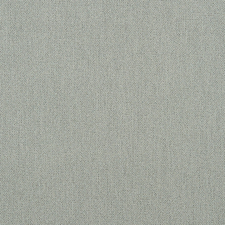 Ezra 95J7031 by JF Crypton Designer Fabric Crypton Binder 100% Polyester Taiwan 50000 Horizontal: and Vertical: 54 - Swanky Fabrics -