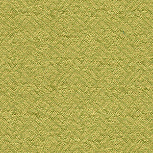 Easy Street Grass by Crypton Fabric