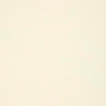 Element Sea White EEL-018 by Nassimi Fabric See sample 100% Polyurethane USA or Imported Water-based cleaning agents and foam may be used for cleaning. Cleaning by a professional cleaning service is recommended. </p><p>Repeat: Horizontal: and Vertical: 54" - Fabric Carolina -