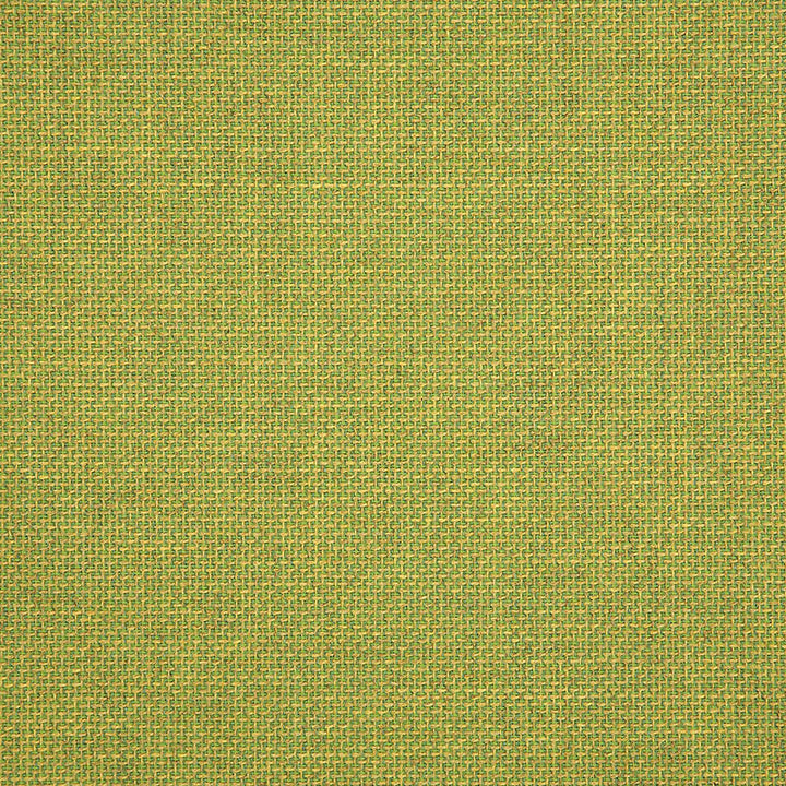 16005-0013 Essential Lime by Sunbrella Fabric Cushion Furniture Drapery Fabrics > Sunbrella Specialty Weaves 100% Acrylic USA or Imported n/a 54" - Fabric Carolina -