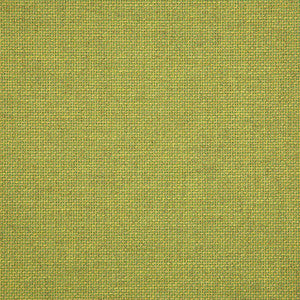 16005-0013 Essential Lime by Sunbrella Fabric