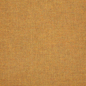 16005-0011 Essential Spark by Sunbrella Fabric