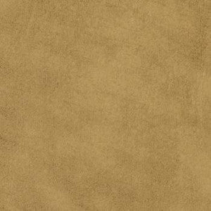 Expressions Nude EX 250 by Naugahyde Fabric