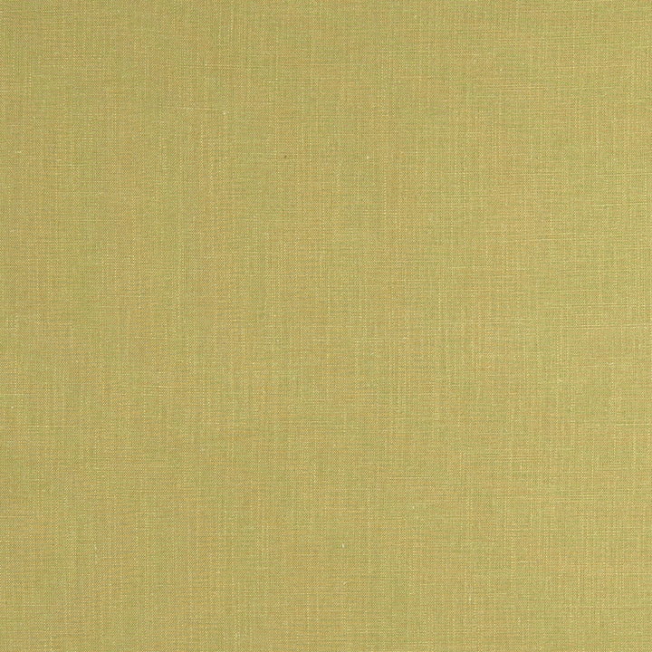 Lindow Apple by Clarke And Clarke Fabric CLARKE & CLARKE TATTON LINENS VISCOSE - 70%;LINEN - 30% India HEAVY Horizontal: 0 and Vertical: 0 54 - Fabric Carolina -