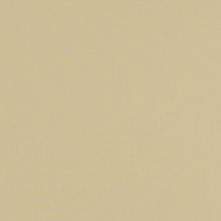 Lindow Champagne by Clarke And Clarke Fabric CLARKE & CLARKE TATTON LINENS VISCOSE - 70%;LINEN - 30% India HEAVY Horizontal: 0 and Vertical: 0 54 - Fabric Carolina -