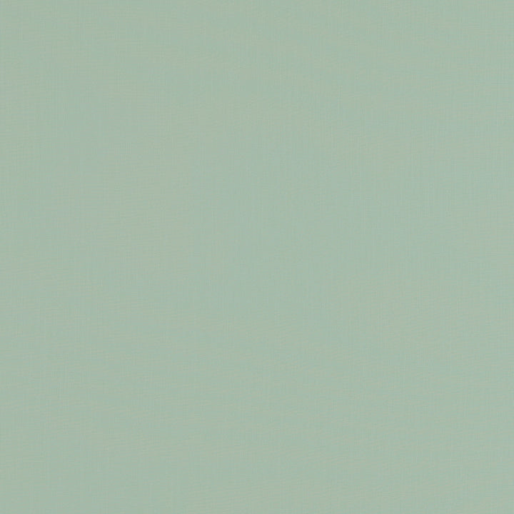 F0354 10 Lindow Duckegg by Clarke and Clarke Fabric CLARKE & CLARKE VISCOSE - 70%;LINEN - 30% India HEAVY Horizontal: 0 and Vertical: 0 54  - Fabric Carolina -