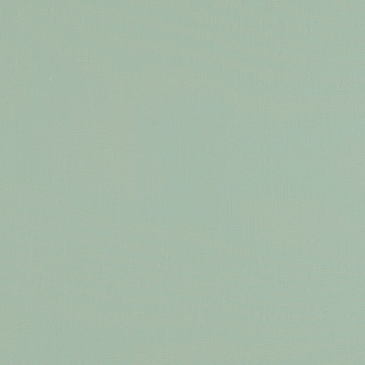 Lindow Duckegg by Clarke And Clarke Fabric CLARKE & CLARKE TATTON LINENS VISCOSE - 70%;LINEN - 30% India HEAVY Horizontal: 0 and Vertical: 0 54 - Fabric Carolina -