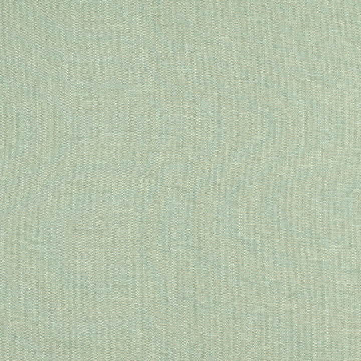 F0354 11 Lindow Eau De Nil by Clarke and Clarke Fabric CLARKE & CLARKE VISCOSE - 70%;LINEN - 30% India HEAVY Horizontal: 0 and Vertical: 0 54  - Fabric Carolina -