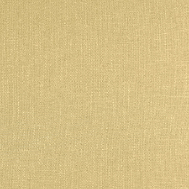Lindow Gold by Clarke And Clarke Fabric CLARKE & CLARKE TATTON LINENS VISCOSE - 70%;LINEN - 30% India HEAVY Horizontal: 0 and Vertical: 0 54 - Fabric Carolina -