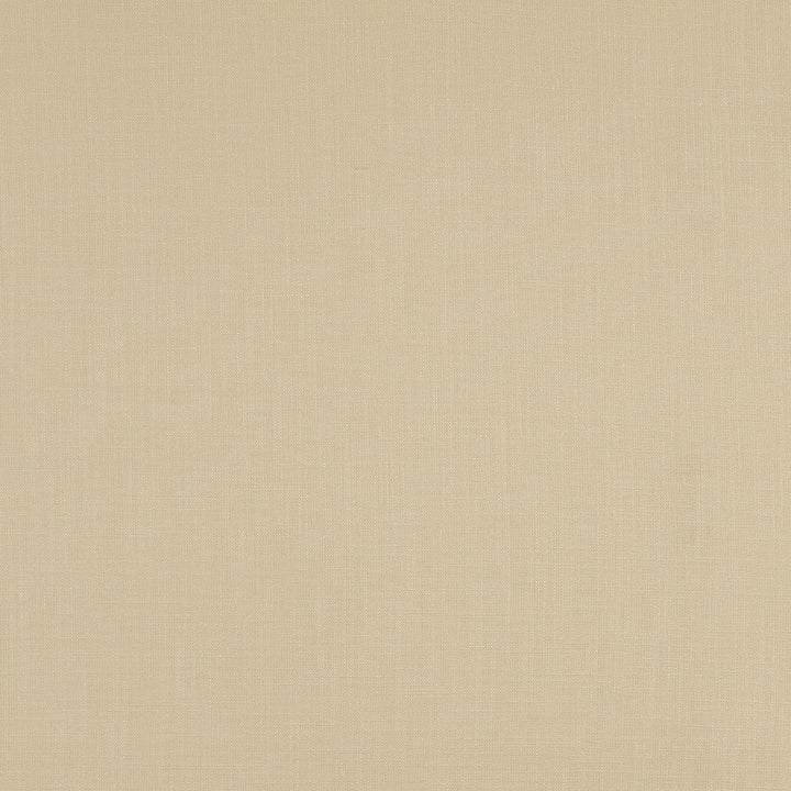 F0354 15 Lindow Jute by Clarke and Clarke Fabric CLARKE & CLARKE VISCOSE - 70%;LINEN - 30% India HEAVY Horizontal: 0 and Vertical: 0 54  - Fabric Carolina -
