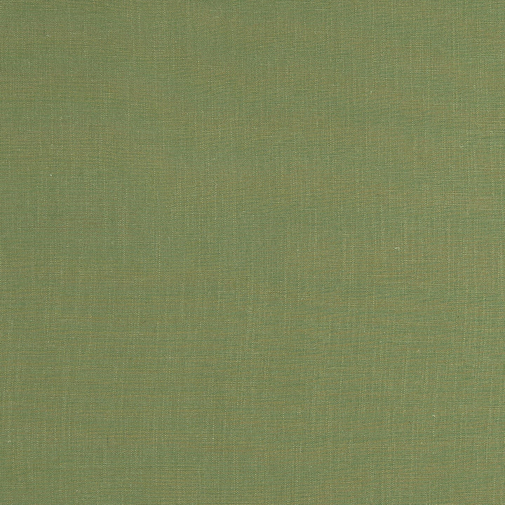 Lindow Moss by Clarke And Clarke Fabric CLARKE & CLARKE TATTON LINENS VISCOSE - 70%;LINEN - 30% India HEAVY Horizontal: 0 and Vertical: 0 54 - Fabric Carolina -