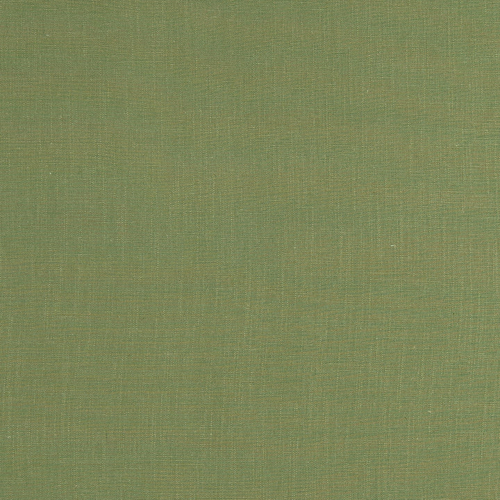 F0354 18 Lindow Moss by Clarke and Clarke Fabric CLARKE & CLARKE VISCOSE - 70%;LINEN - 30% India HEAVY Horizontal: 0 and Vertical: 0 54  - Fabric Carolina -