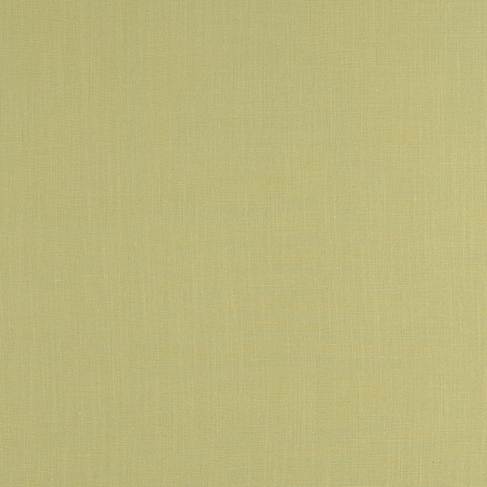 F0354 22 Lindow Parsley by Clarke and Clarke Fabric CLARKE & CLARKE VISCOSE - 70%;LINEN - 30% India HEAVY Horizontal: 0 and Vertical: 0 54  - Fabric Carolina -