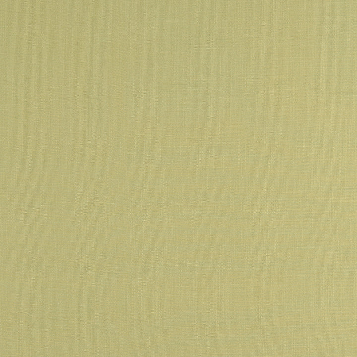 F0354 22 Lindow Parsley by Clarke and Clarke Fabric CLARKE & CLARKE VISCOSE - 70%;LINEN - 30% India HEAVY Horizontal: 0 and Vertical: 0 54  - Fabric Carolina -