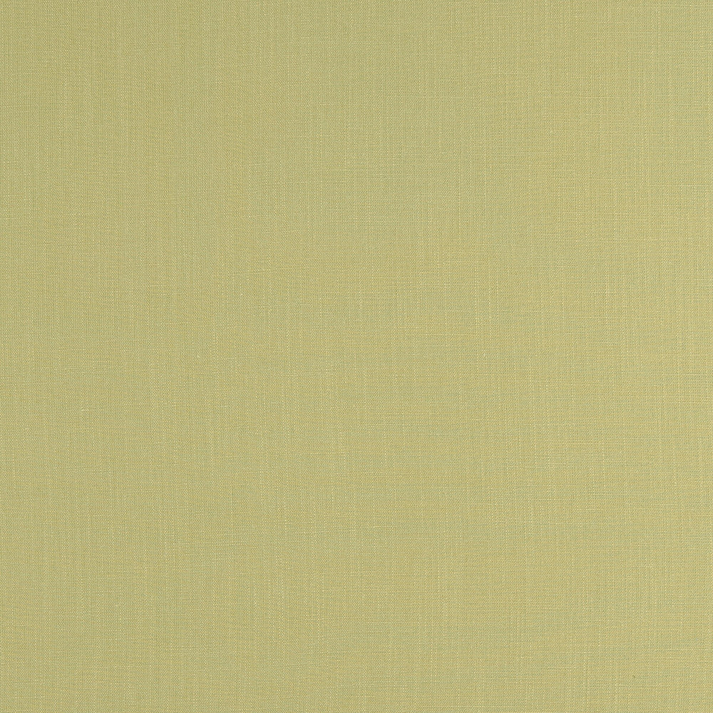 Lindow Parsley by Clarke And Clarke Fabric CLARKE & CLARKE TATTON LINENS VISCOSE - 70%;LINEN - 30% India HEAVY Horizontal: 0 and Vertical: 0 54 - Fabric Carolina -