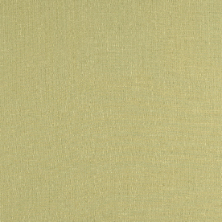 Lindow Parsley by Clarke And Clarke Fabric CLARKE & CLARKE TATTON LINENS VISCOSE - 70%;LINEN - 30% India HEAVY Horizontal: 0 and Vertical: 0 54 - Fabric Carolina -