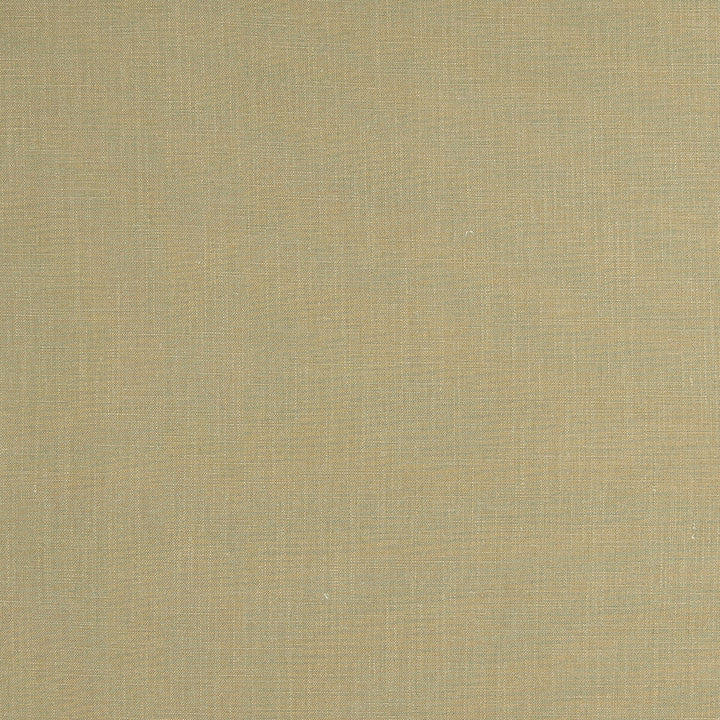 Lindow Sage by Clarke And Clarke Fabric CLARKE & CLARKE TATTON LINENS VISCOSE - 70%;LINEN - 30% India HEAVY Horizontal: 0 and Vertical: 0 54 - Fabric Carolina -
