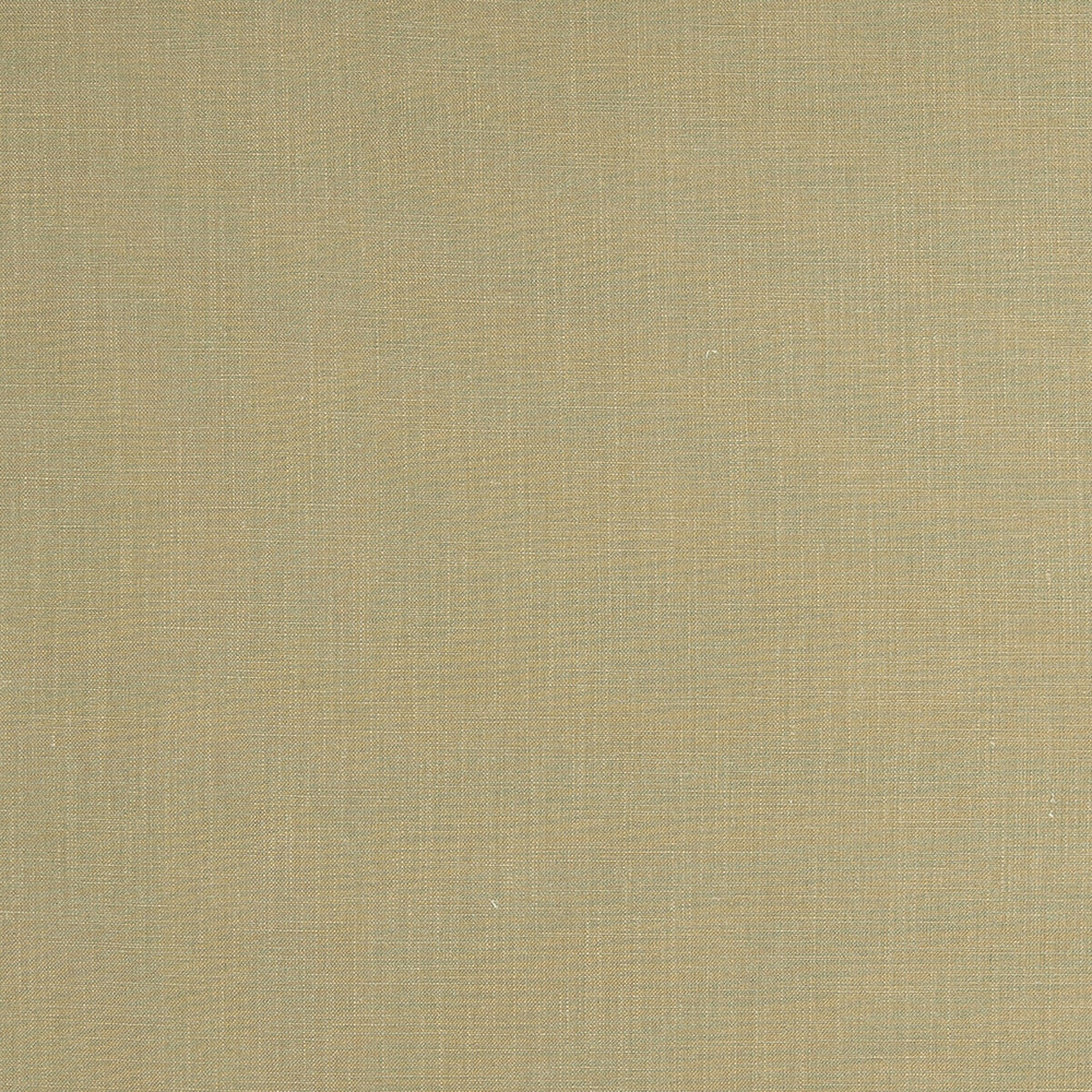 Lindow Sage by Clarke And Clarke Fabric CLARKE & CLARKE TATTON LINENS VISCOSE - 70%;LINEN - 30% India HEAVY Horizontal: 0 and Vertical: 0 54 - Fabric Carolina -