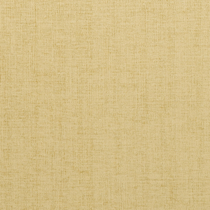 Karina Apple by Clarke And Clarke Fabric CLARKE & CLARKE KARINA POLYESTER - 100% China HEAVY Horizontal: 0 and Vertical: 0 56 - Fabric Carolina -