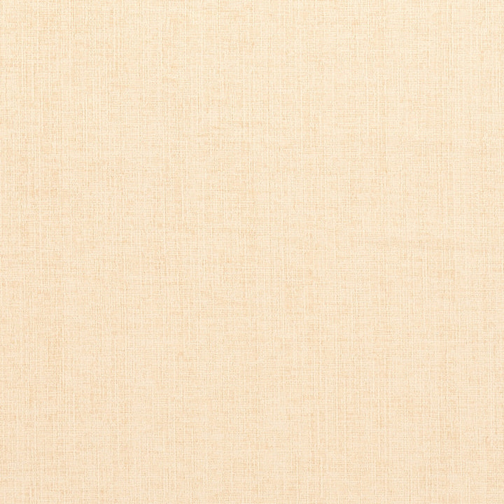 Karina Cream by Clarke And Clarke Fabric CLARKE & CLARKE KARINA POLYESTER - 100% China HEAVY Horizontal: 0 and Vertical: 0 56 - Fabric Carolina -