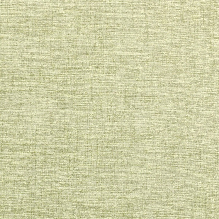 Karina Celadon by Clarke And Clarke Fabric CLARKE & CLARKE KARINA POLYESTER - 100% China HEAVY Horizontal: 0 and Vertical: 0 56 - Fabric Carolina -