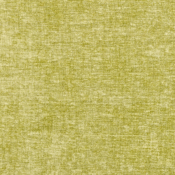 F0371 15 Karina Fern by Clarke and Clarke Fabric CLARKE & CLARKE POLYESTER - 100% China HEAVY Horizontal: 0 and Vertical: 0 56  - Fabric Carolina -