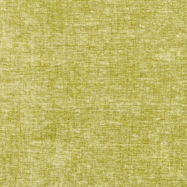 Karina Fern by Clarke And Clarke Fabric CLARKE & CLARKE KARINA POLYESTER - 100% China HEAVY Horizontal: 0 and Vertical: 0 56 - Fabric Carolina -